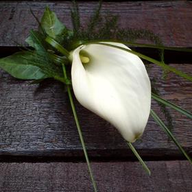 fwthumb16 calla lilly buttonhole 9.95.jpg